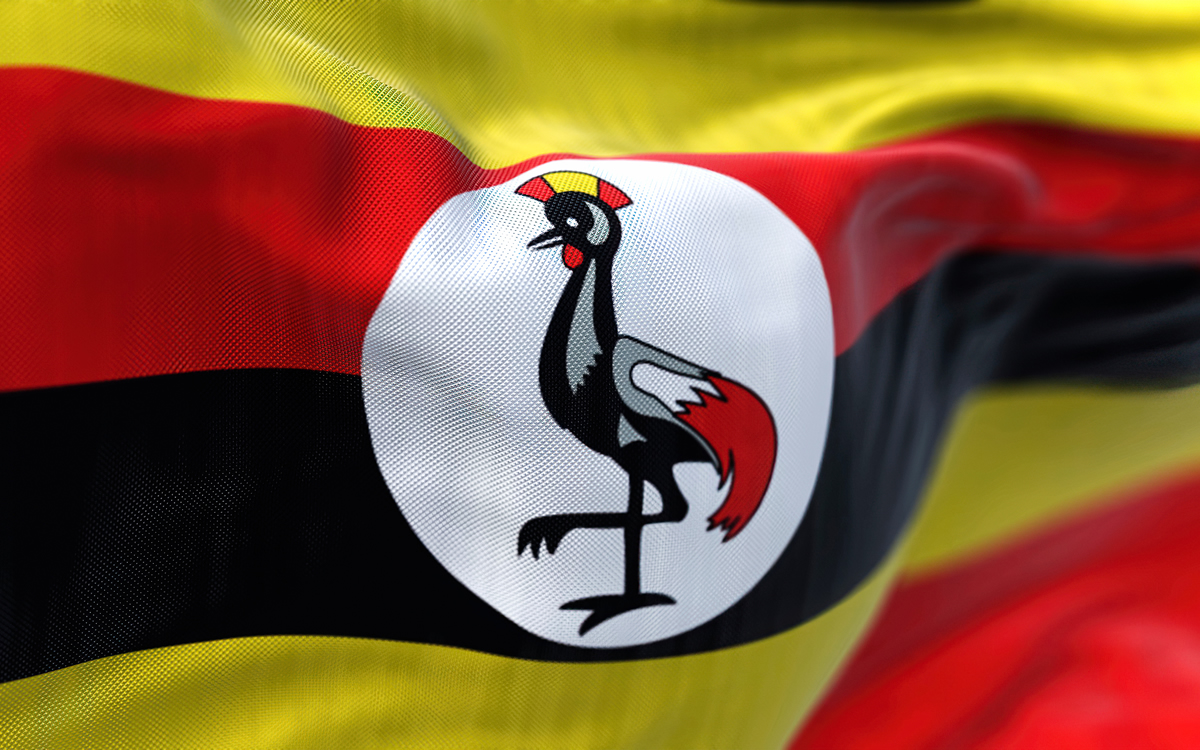LGBTQ+ Ugandans targeted ahead of country’s elections